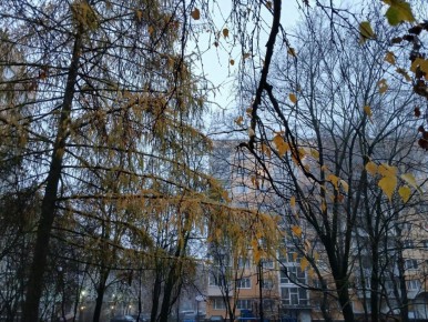 В Калужской области ожидается пасмурная погода