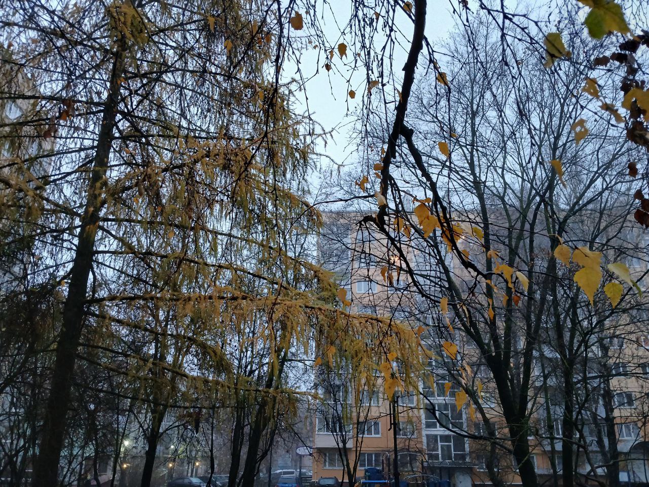 В Калужской области ожидается пасмурная погода