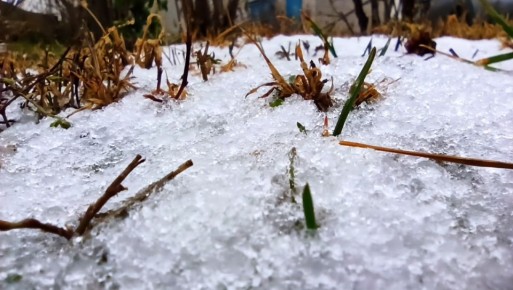 Мокрый снег ожидается в Калужской области