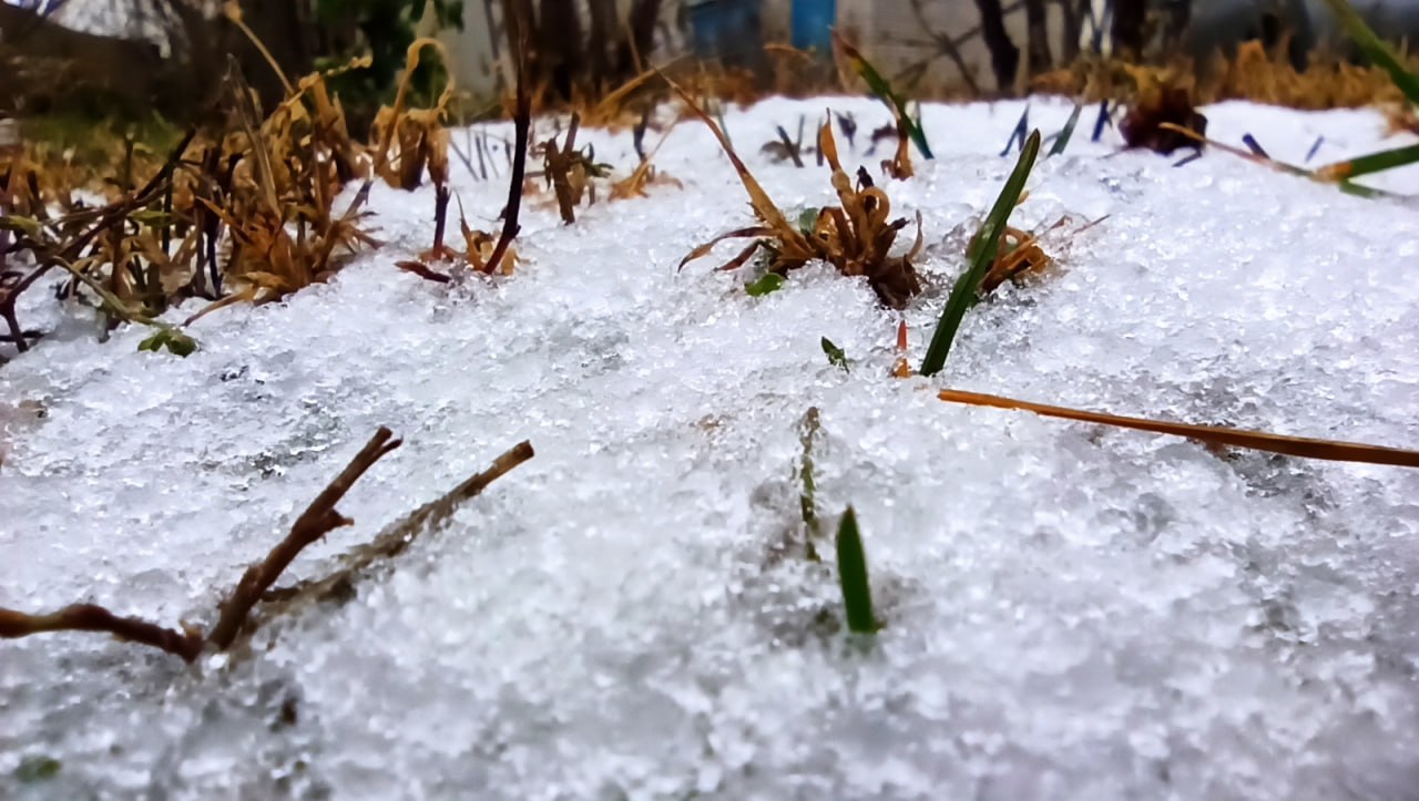 Мокрый снег ожидается в Калужской области