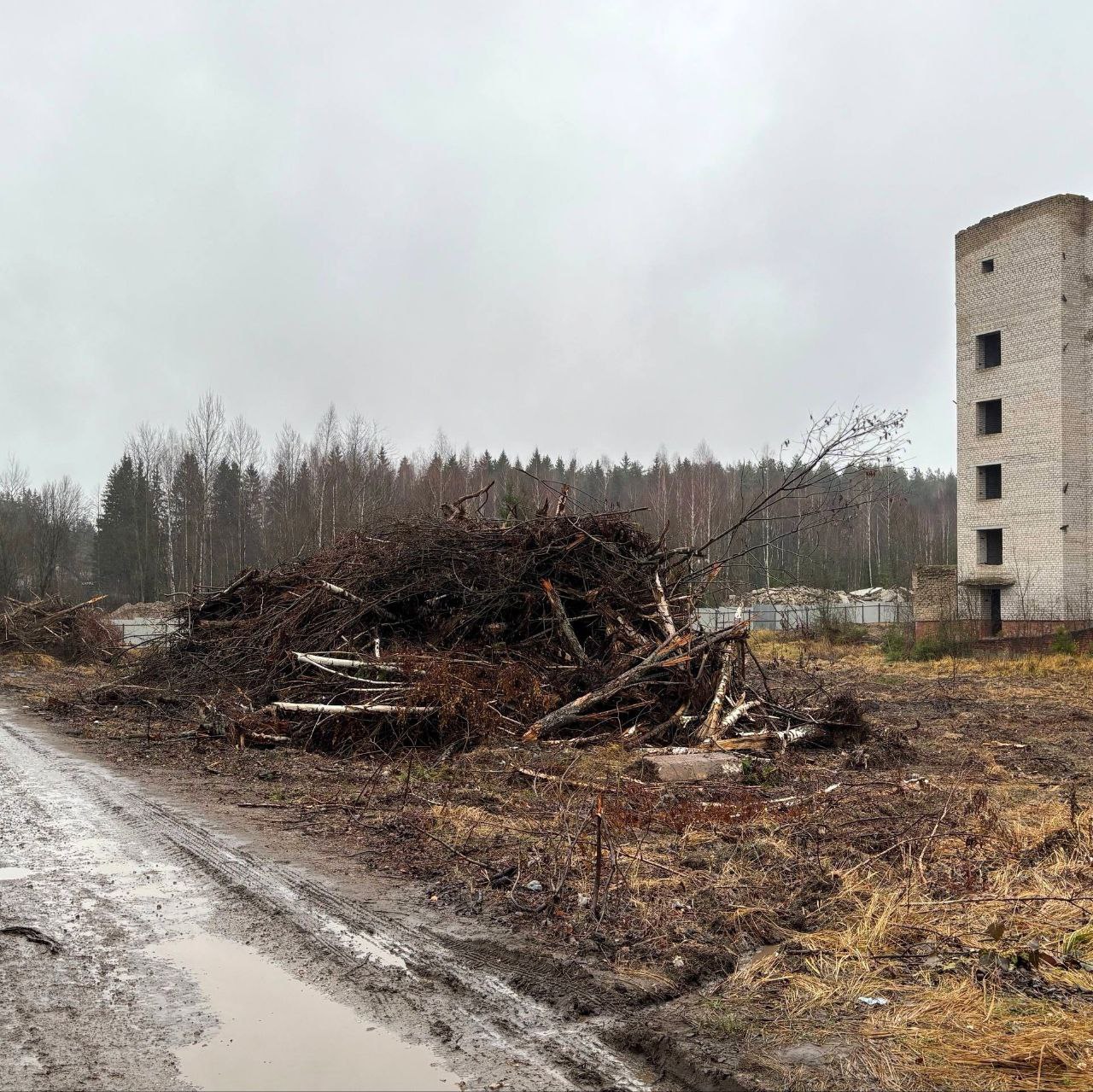 В Людиново готовят площадку для нового больничного корпуса