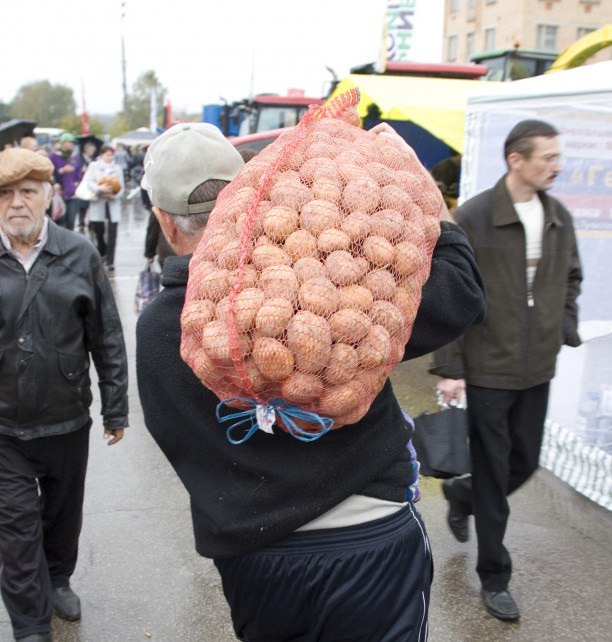 Морковь и картошка подешевели