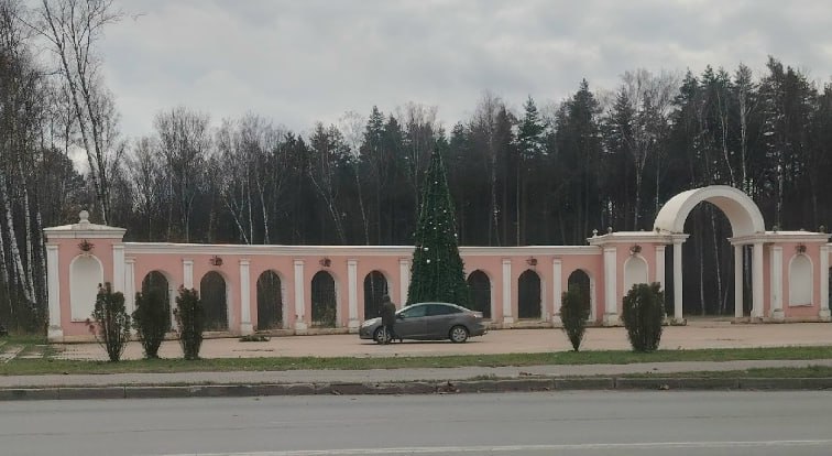 В Калуге установили первую елку