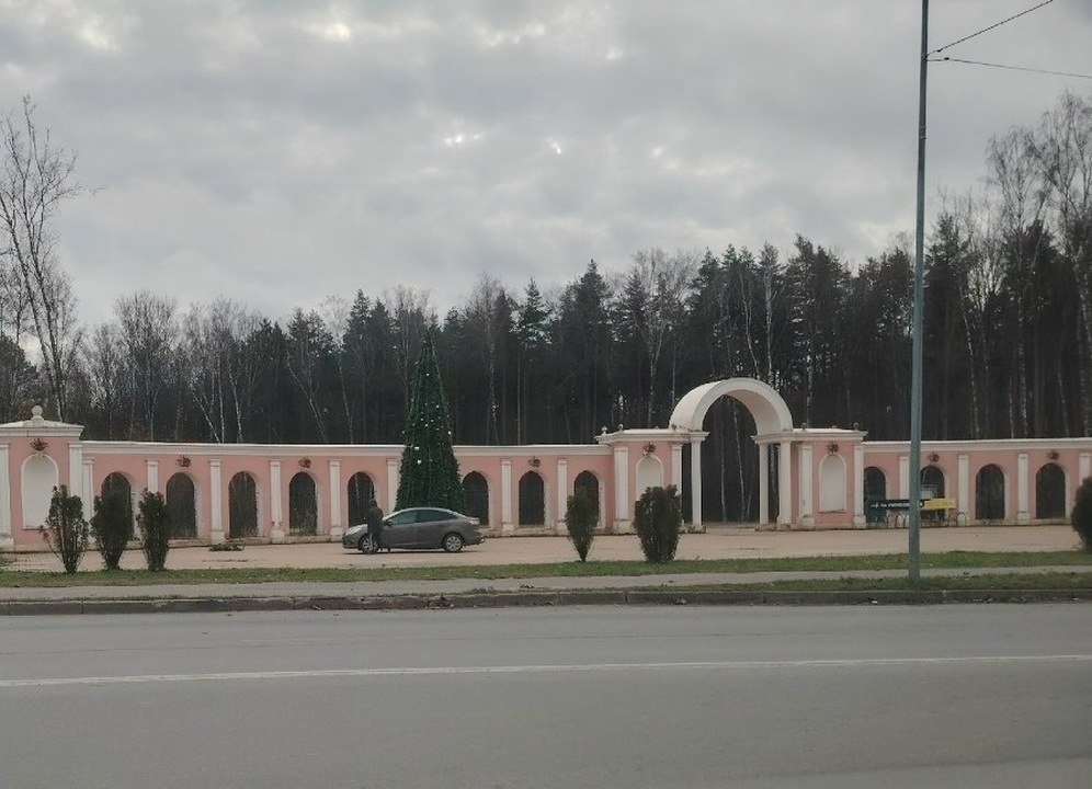 В Калуге начали устанавливать новогодние елки