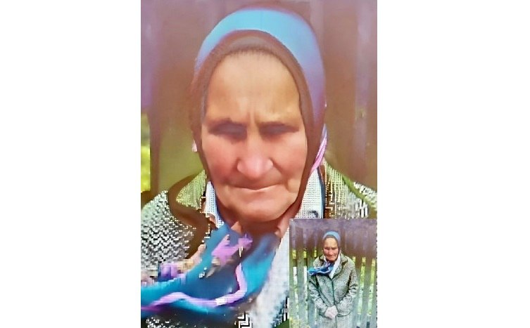 В Калужской области собирают записи с регистраторов для поиска 86-летней женщины