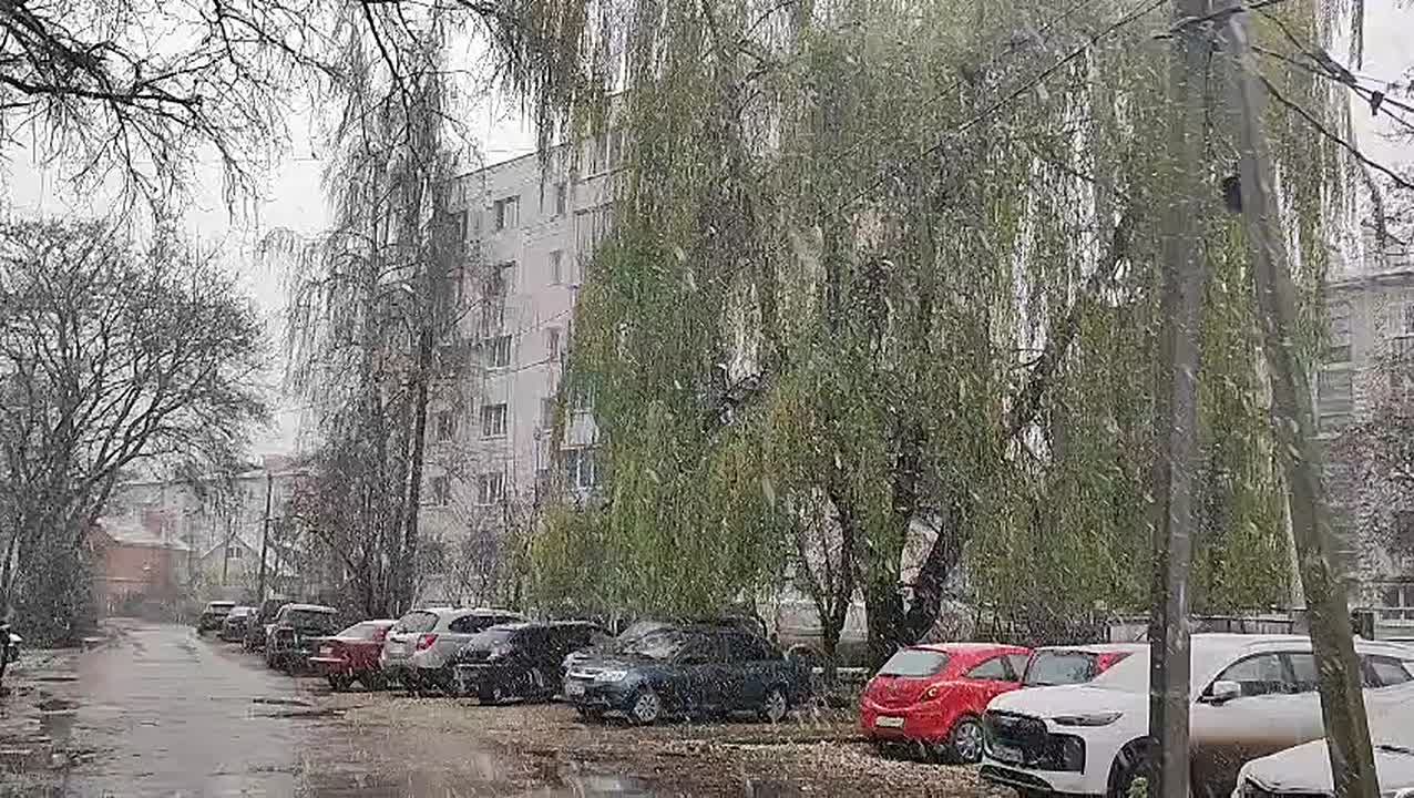 В Калуге выпал первый снег