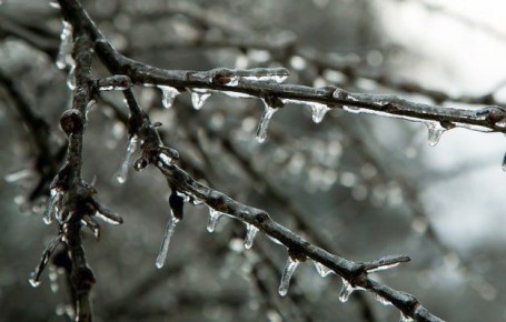 МЧС предупреждает жителей Калужской области о гололедице