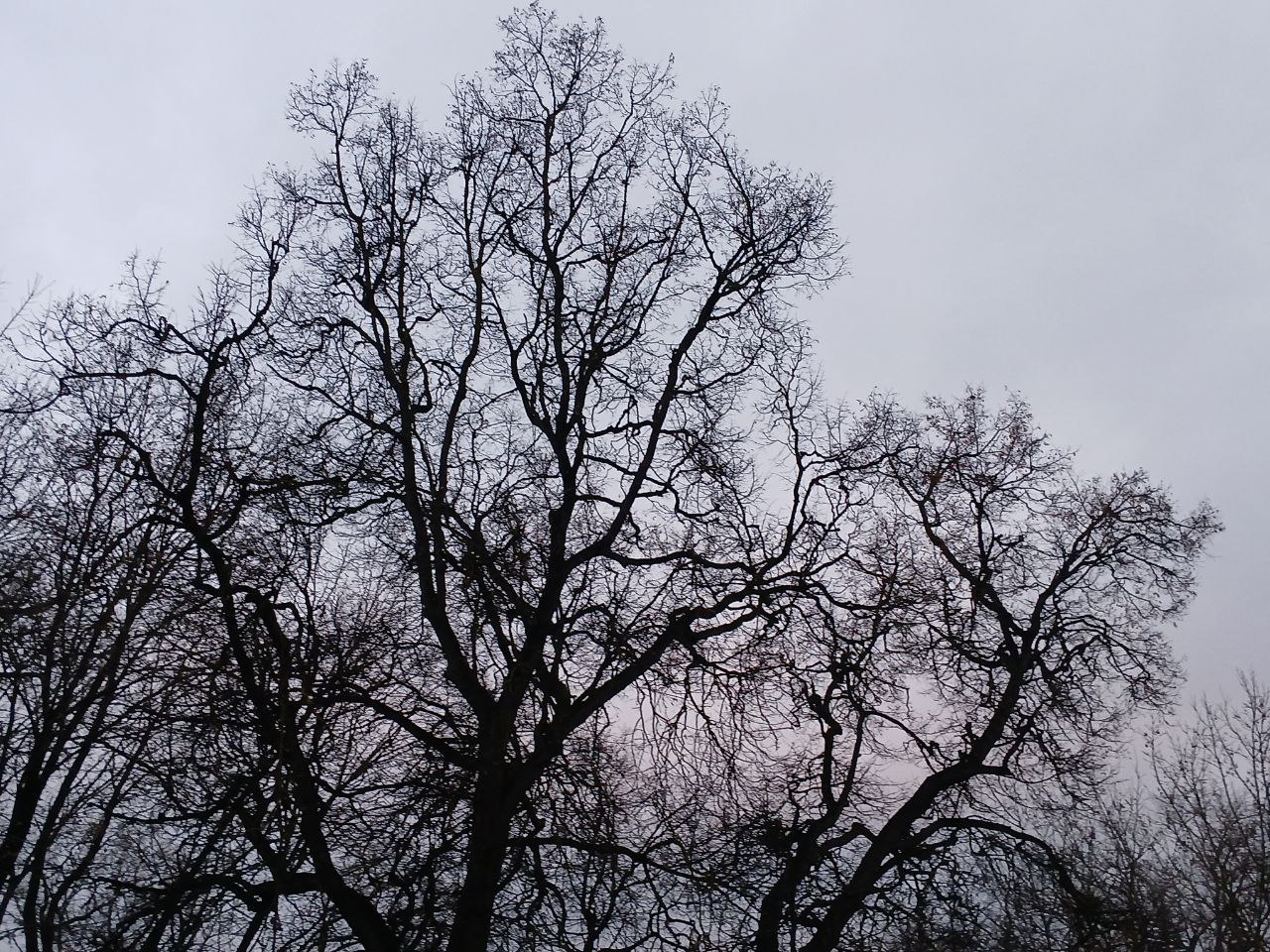 В Калужской области похолодает до -8 градусов