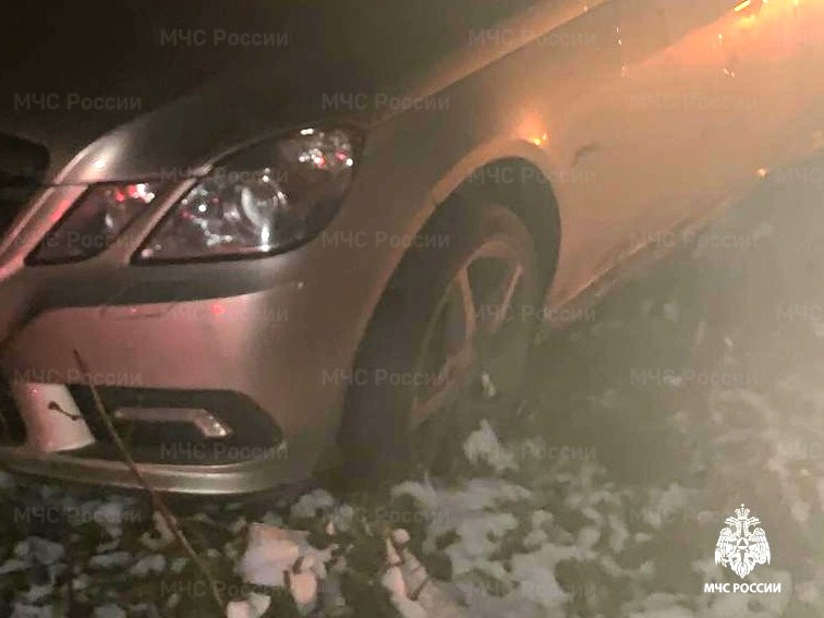 В Калужской области автомобиль сбил дикое животное и съехал в кювет