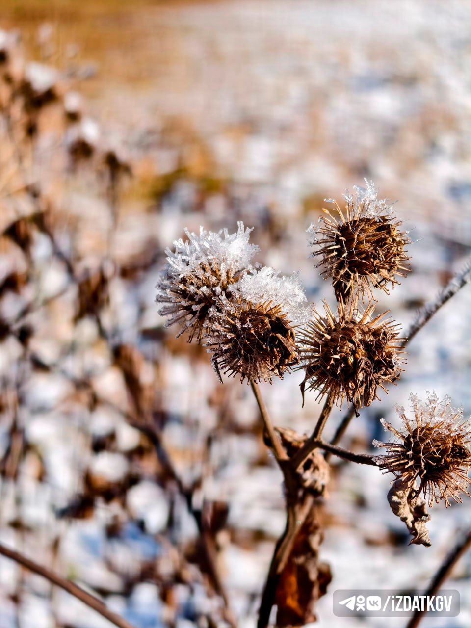 Снежные пейзажи Жиздры