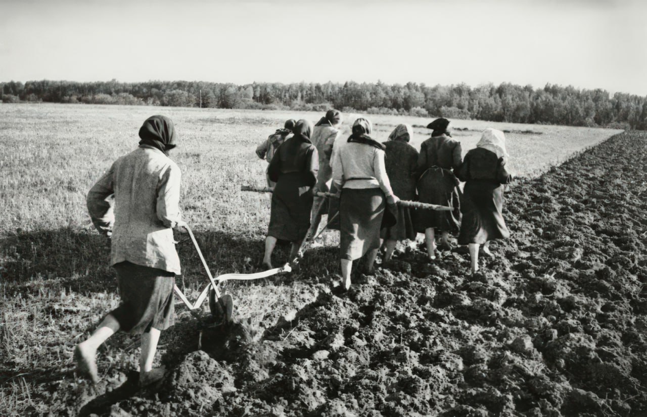 После Победы: в Европе активизируется охота на гитлеровских главарей, а калужские колхозники переселяются из землянок в новые дома