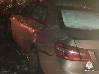 Двое людей пострадали в ДТП с диким животным под Боровском