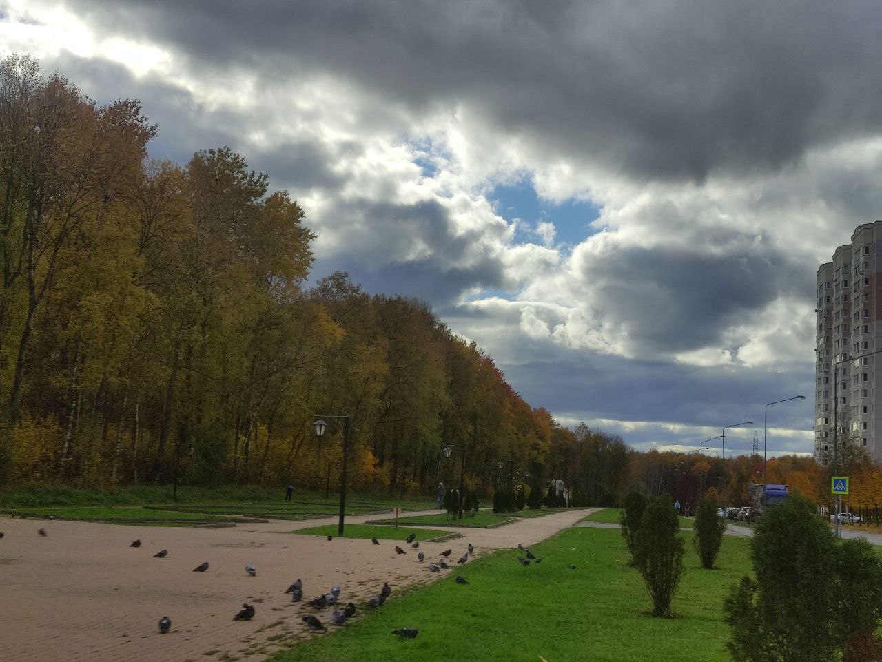 Оттепель придёт в Калугу на смену заморозкам