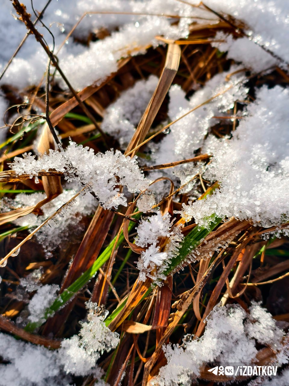 Снежные пейзажи Жиздры Снежные пейзажи Жиздры