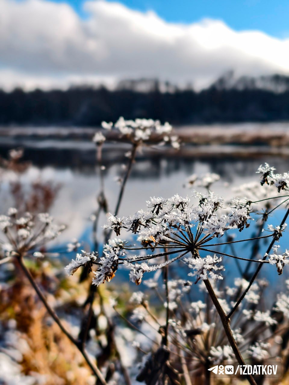 Снежные пейзажи Жиздры Снежные пейзажи Жиздры