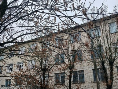 Морозная погода ждет Калужскую область