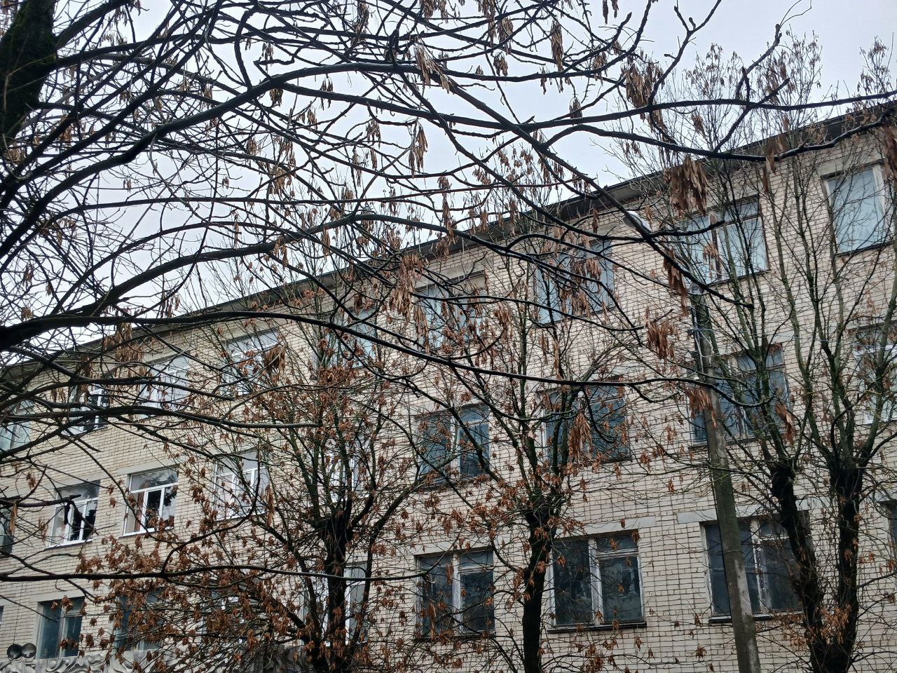 Морозная погода ждет Калужскую область