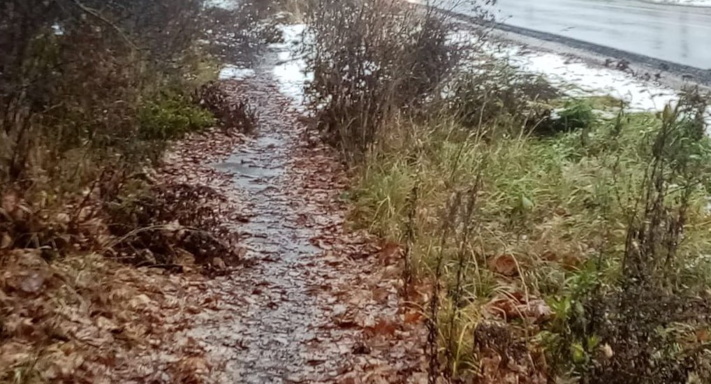 В деревне Калужской области не могут решить проблему с покосом травы