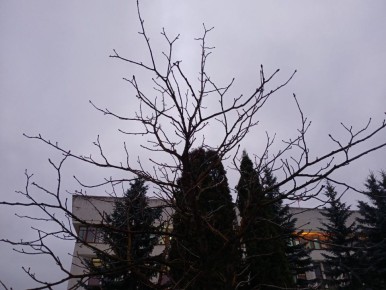 Беспилотную опасность отменили в Калужской области