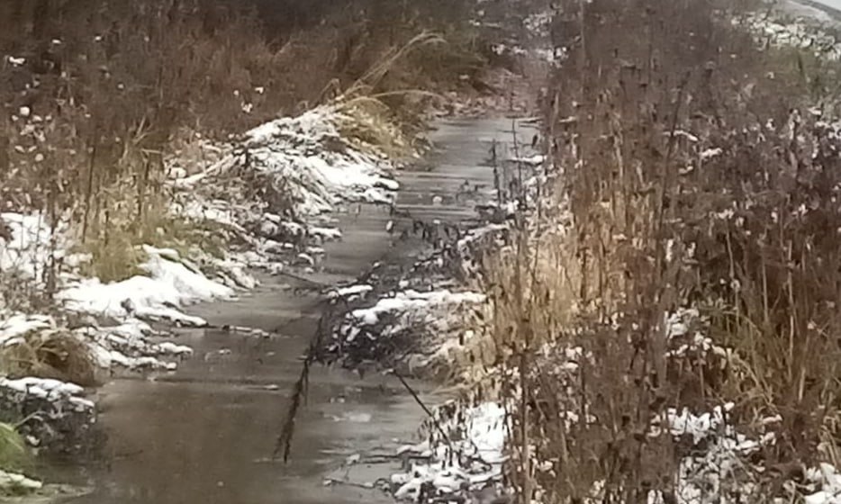 В деревне Калужской области не могут решить проблему с покосом травы В деревне Калужской области не могут решить проблему с покосом травы