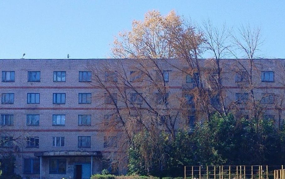 Калужанка попросила власти убрать аварийные деревья на Шахтёрской