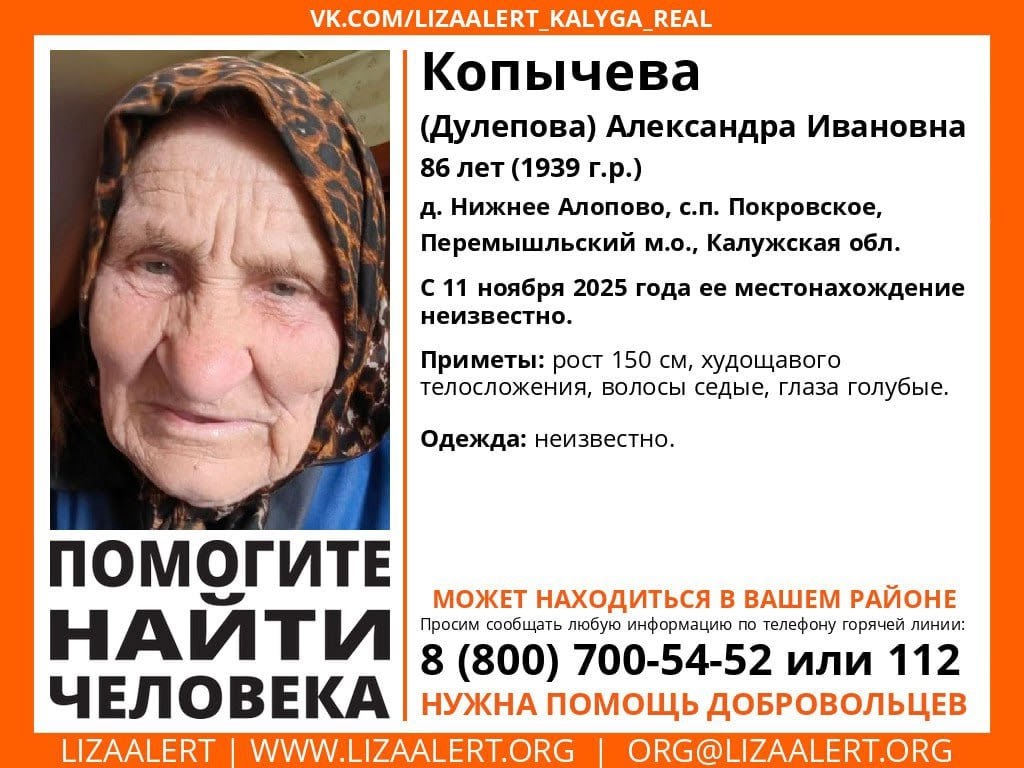 Продолжаются поиски бабушки в Перемышльском округе