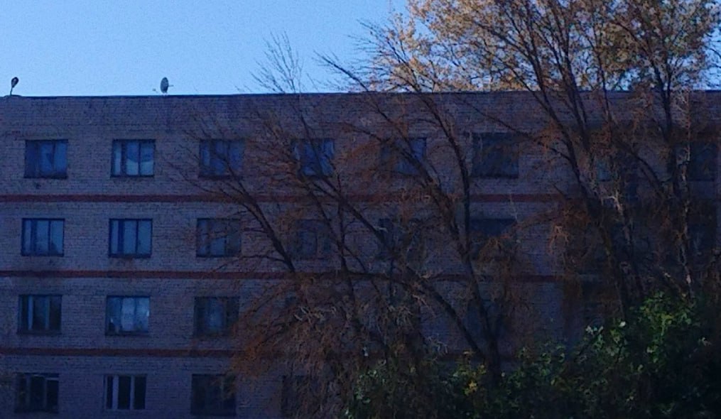 В Калуге высохшие деревья могут упасть на общежитие В Калуге высохшие деревья могут упасть на общежитие