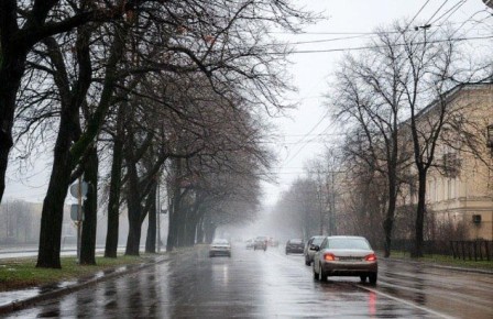 Спасатели предупредили калужан о сильном ветре и осадках