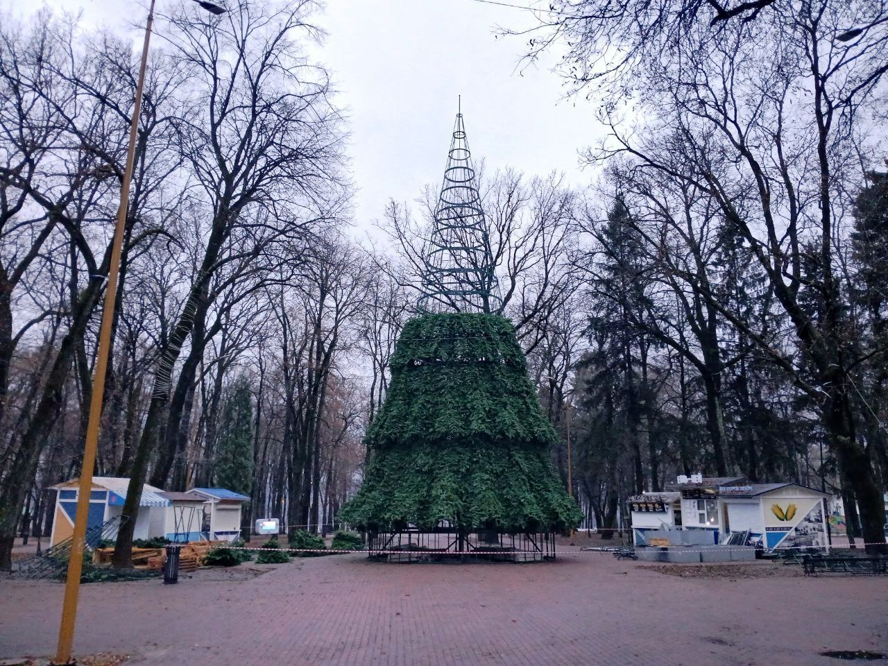 Калуга начала готовиться к Новому году с установки ёлок
