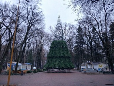 В Калуге устанавливают первую большую ёлку