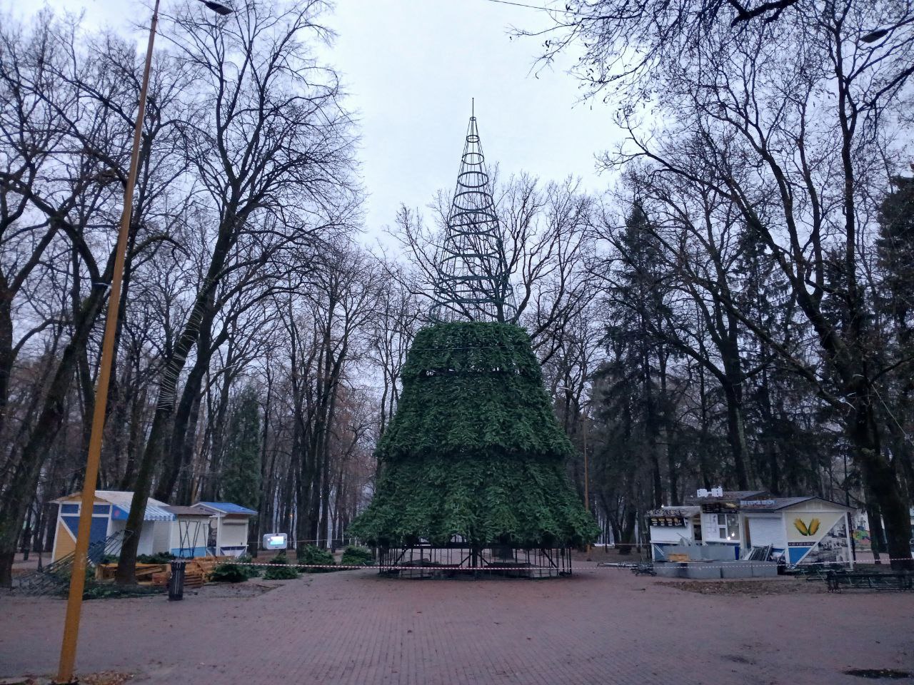 В Калуге устанавливают первую большую ёлку