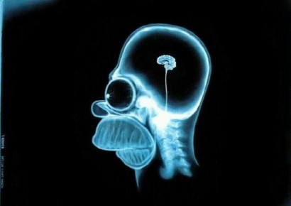 Каждый пятый россиянин считает, что Солнце вращается вокруг Земли