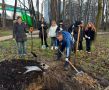 Дмитрий Денисов: Финальный штрих в благоустройстве сквера на Терепце – вместе с калужанами посадили там новые деревья!