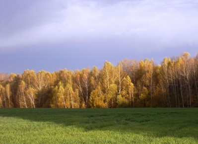 Калужская область на один день сменила пасмурную погоду на солнечную
