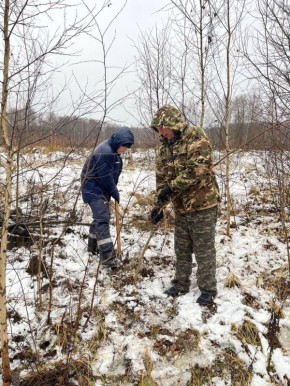 В первомайской школе калужане разбивают березовый сквер