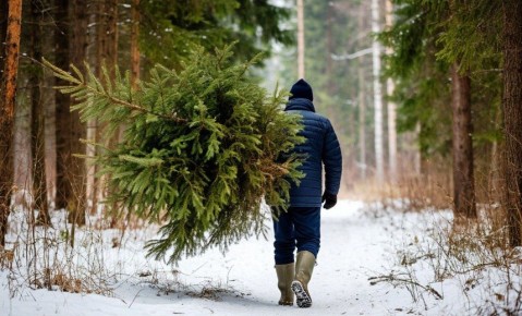 Жители калужского Канищево остались без новогодней елки