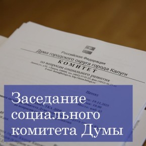 На заседании комитета по вопросам социального развития под председательством Андрея Кулёмина депутаты рассмотрели отчёты о ходе реализации муниципальных программ «Семья и дети» и «Развитие физкультуры и спорта», обсудили...