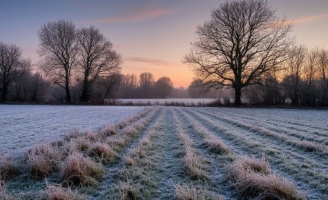 Морозная погода пришла в Калужскую область