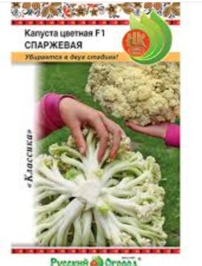 Открытие нового вкуса: спаржевая капуста на грядках
