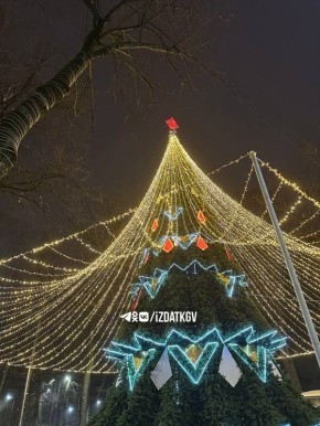 В Калуге устанавливают ёлку в парке культуры и отдыха