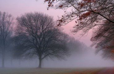 Синоптики прогнозируют туман в Калужской области