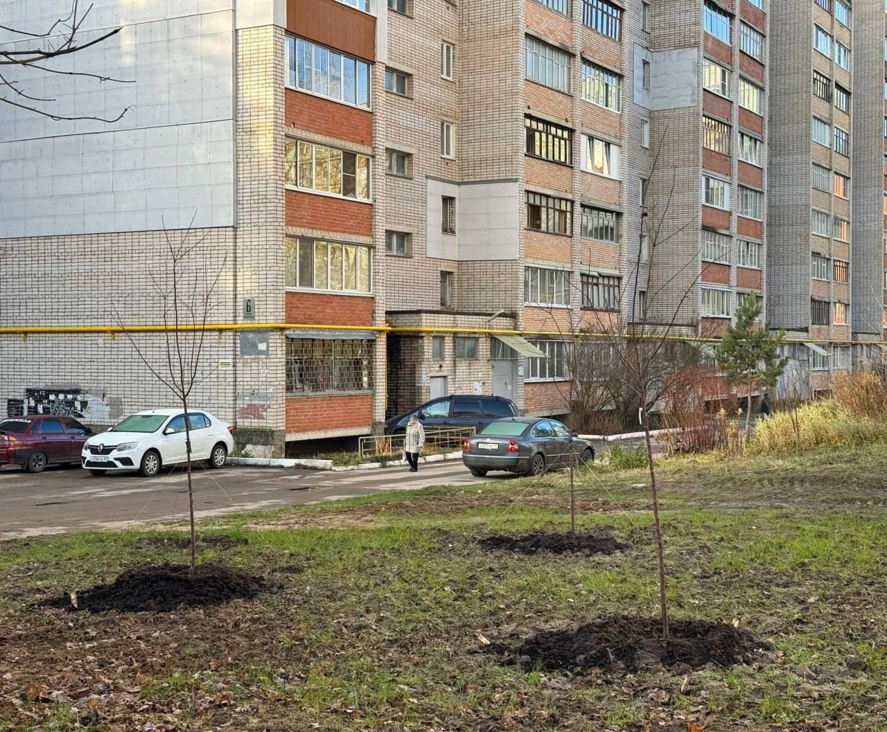 Новые деревья посадили в микрорайоне Терепец в Калуге