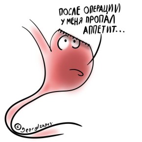 Ленивый желудок: что стоит за загадкой ненадежного пищеварения?