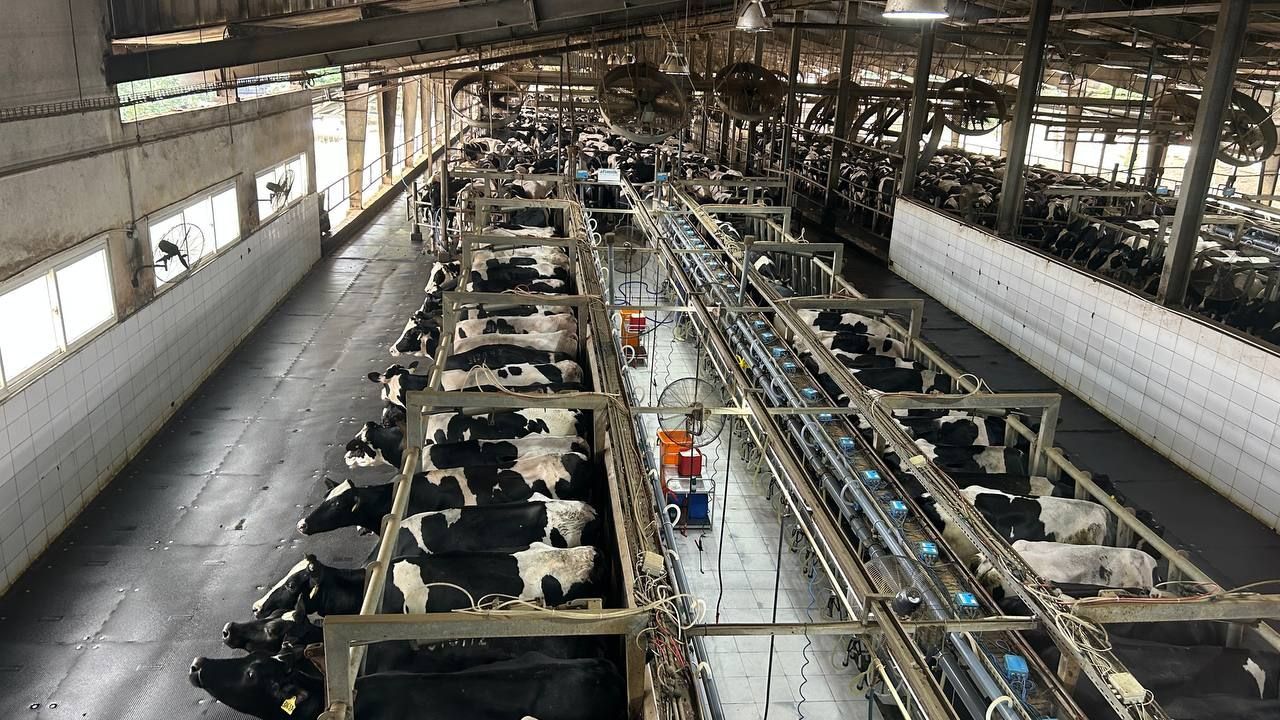 Делегация Калужской области посетила животноводческий комплекс TH Group во Вьетнаме Делегация Калужской области посетила животноводческий комплекс TH Group во Вьетнаме