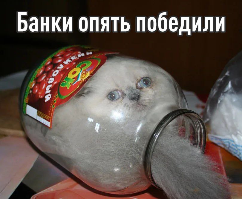 Центробанк встал на сторону банков в конфликте из-за скидок при оплате фирменными картами маркетплейсов