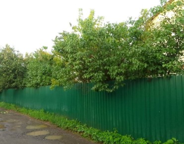 Калужские полицейские раскрыли серию краж из частных домов