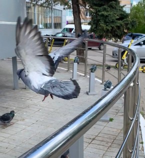 На 6° холоднее, чем вчера. Сегодня прогнозируют облачную погоду с прояснениями