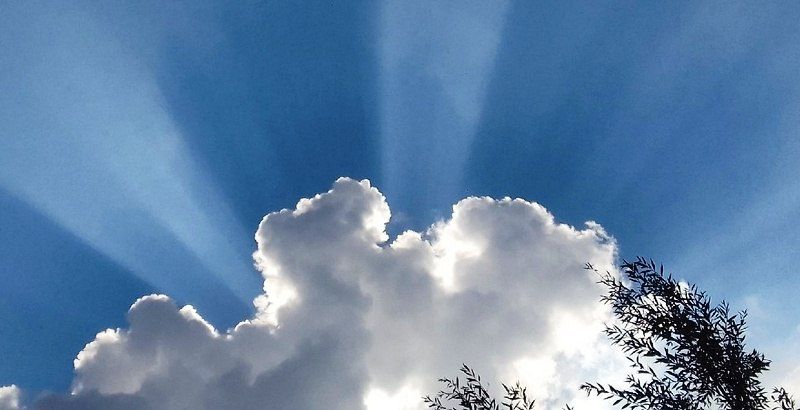 � ��������� ������� ������������ �������� ���� � ����������� ������