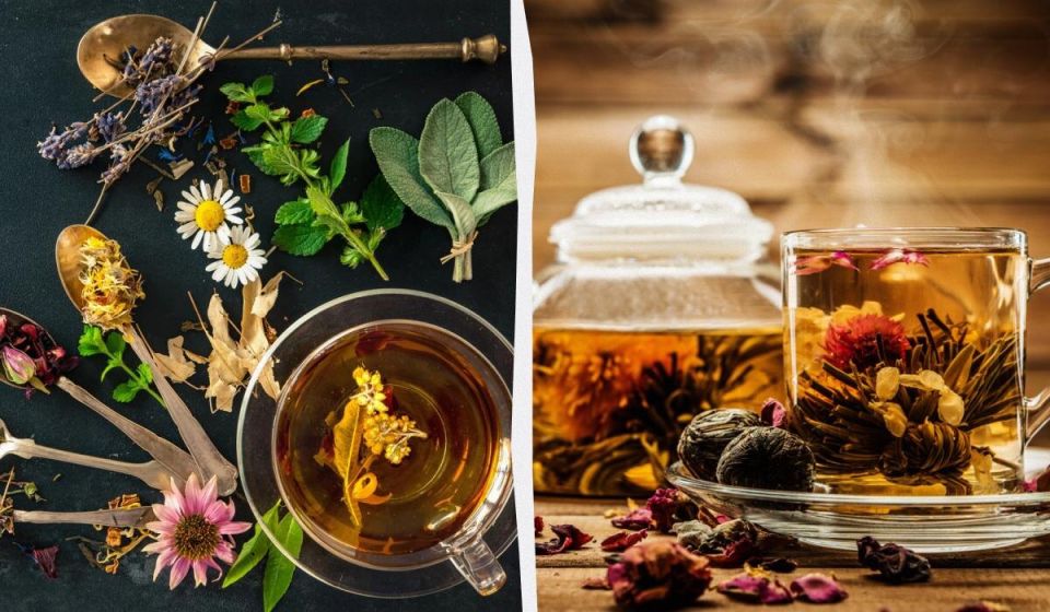 �������� ���: ����� � �����, ������� ������� ���� ����