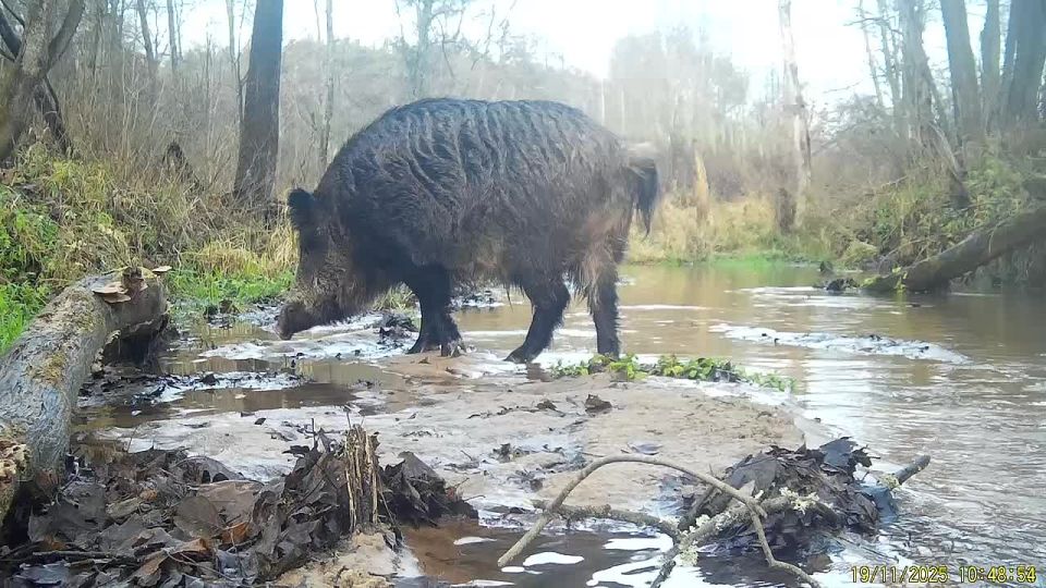 �������� �� ���������� ���� ����� ����� �� �����